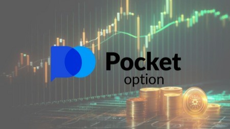 Партнерская Программа Pocket Option Ваш шанс на дополнительный доход Партнерская Программа Pocket Option Ваш шанс на дополнительный доход
